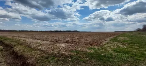 Участок в Московская область, Ступино городской округ, д. Щапово  ...