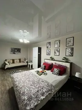 1-к кв. Волгоградская область, Камышин 7-й мкр, 27 (31.0 м)