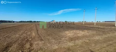 Участок в Завьяловский район, деревня Каменное (13.03 м)