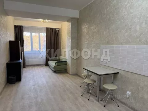 1-к кв. Новосибирская область, Новосибирск ул. Ключ-Камышенское плато, ...