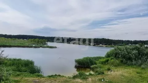 Участок в Брянская область, Брянский район, Нетьинское с/пос, Лесная ...