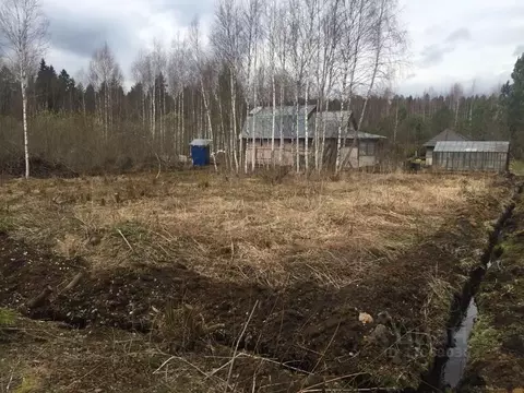 Участок в Московская область, Рузский муниципальный округ, д. ...