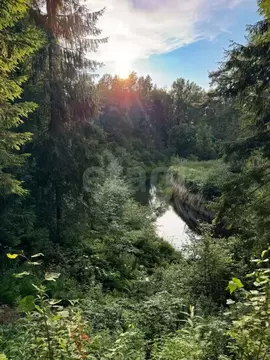 Участок в Санкт-Петербург пос. Репино, Ленгипроречтранс СНТ,  (22.81 ...