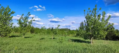 Участок в Алтайский край, Первомайский район, пос. Новый ул. ...