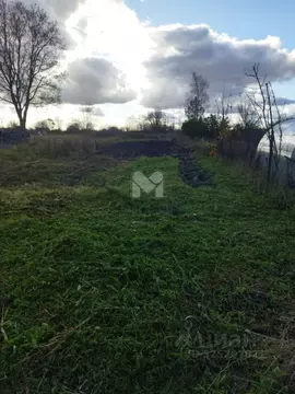 Участок в Ленинградская область, Волосовский район, Большеврудское ...