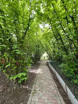 Участок в Краснодарский край, Туапсинский муниципальный округ, ...