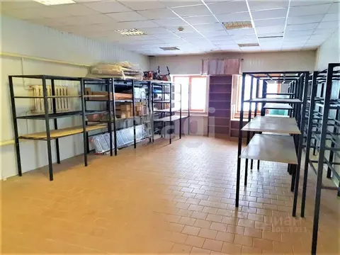 Торговая площадь в Брянская область, Брянск Сталелитейная ул., 14 (61 ...