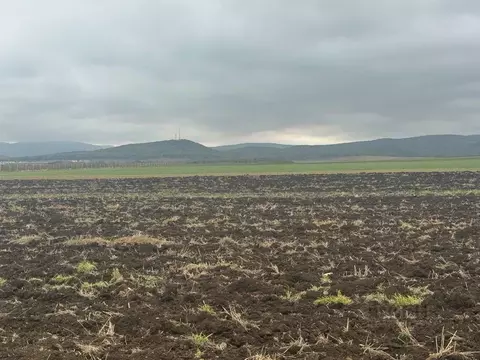 Участок в Крым, Белогорский район, с. Курское  (500.0 сот.)