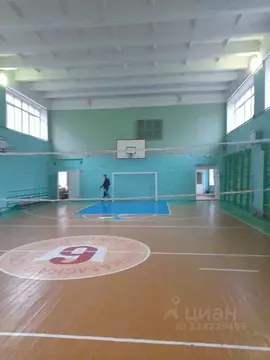 Помещение свободного назначения в Татарстан, Нижнекамск  (282 м)