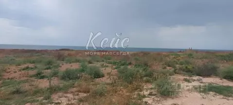 Участок в Крым, Ленинский район, Семисотское с/пос, с. Каменское ул. ...