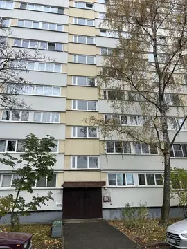 3-к кв. Санкт-Петербург просп. Народного ополчения, 221 (60.4 м)