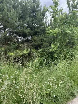 Участок в Московская область, Чехов муниципальный округ, д. ...