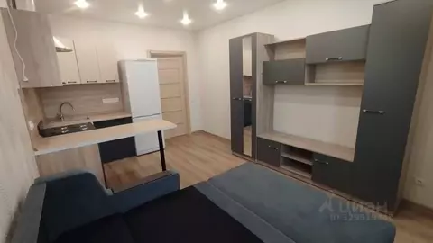 Студия Санкт-Петербург Усть-Славянка тер., ул. Заводская, 17 (25.0 м)