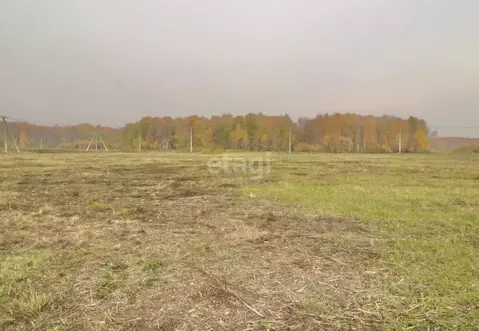 Участок в Тюменская область, Тюменский муниципальный округ, ...