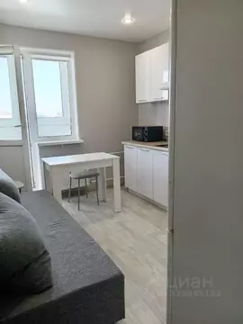 1-к кв. Санкт-Петербург пос. Шушары, просп. Новгородский, 10 (31.4 м)