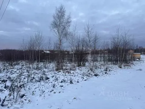 Участок в Московская область, Кашира проезд 2-й Новоселов (15.5 сот.)