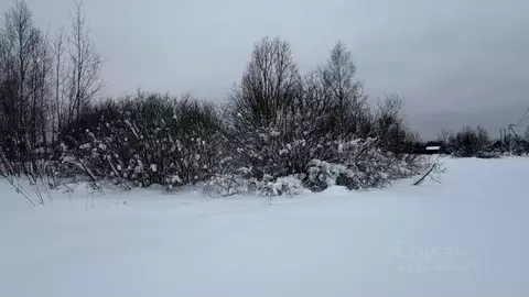 Участок в Московская область, Истра муниципальный округ, пос. Хуторки ...