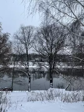 Участок в Московская область, Раменский муниципальный округ, д. Титово ...