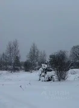 Участок в Московская область, Павлово-Посадский городской округ, д. ...