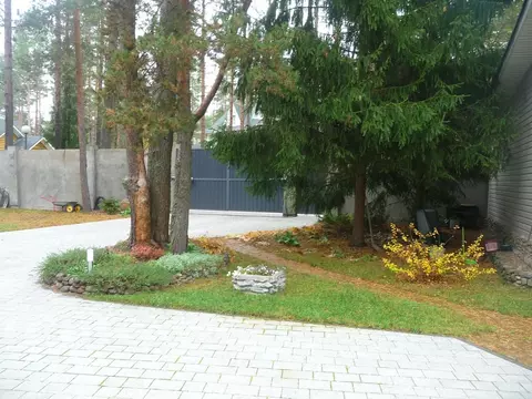 Участок в Ленинградская область, Всеволожский район, Сертоловское ...