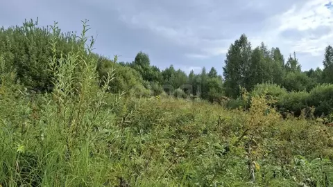 Участок в Алтай, Майминский район, Манжерокское с/пос, с. Озерное  ...