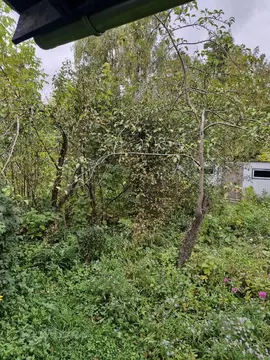 Продается дом в пгт Малаховка