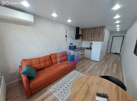 Квартира-студия: Воронеж, улица 9 Января, 233/54 (24.7 м)