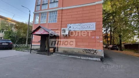 Студия Нижегородская область, Бор ул. Щербакова, 5 (14.7 м)