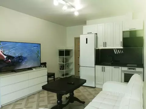 Студия Московская область, Мытищи ул. Академика Каргина, 23А (27.0 м)