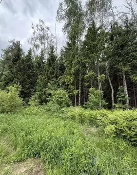 Участок в Московская область, Богородский городской округ, д. Калитино ...