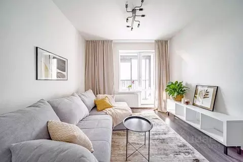 Студия Санкт-Петербург Светлановский просп., 8 (24.0 м)