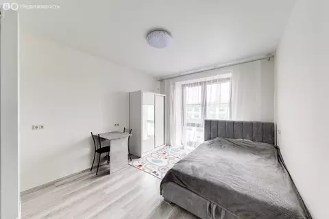 1-комнатная квартира: Москва, Волгоградский проспект, 32/3к6 (24.3 м)