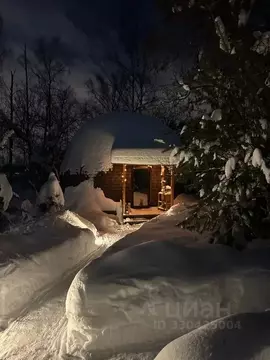 Дом в Москва Лесное СНТ, 2 (60 м)