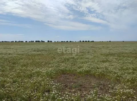 Участок в Крым, Сакский район, Молочненское с/пос, с. Витино ул. ...
