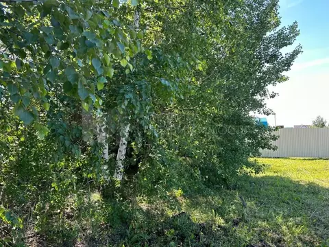 Участок в Тюменская область, Тюмень Аккорд СНТ, ул. Береговая, 61 (8.0 ...