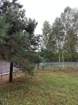 Участок в Псковская область, Псковский район, Торошинская волость, ...