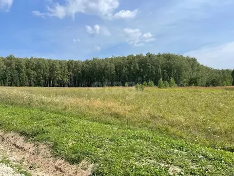 Участок в Калужская область, пос. Ферзиково ул. Карпова (10.0 сот.)