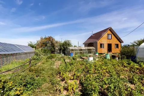 Дом в Свердловская область, Белоярский муниципальный округ, ...