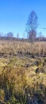 Участок в Кемеровская область, Междуреченский муниципальный округ, ...