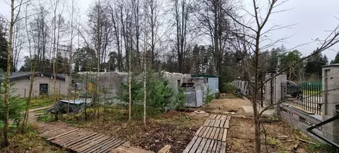 Участок в Московская область, Одинцовский городской округ, д. Иваньево ...