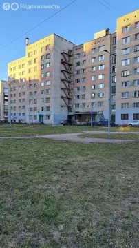 1к в 8-комнатной квартире (12.7 м)