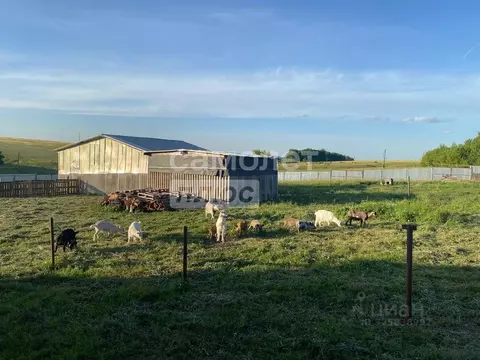 Участок в Курская область, Курский район, Новопоселеновский сельсовет, ...