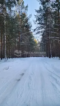 Участок в Тюменская область, Тюмень Ямская ул. (8.0 сот.)