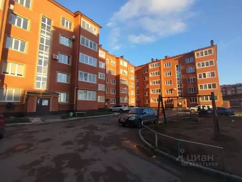 2-к кв. Оренбургская область, Бузулук ул. Фрунзе (56.7 м)