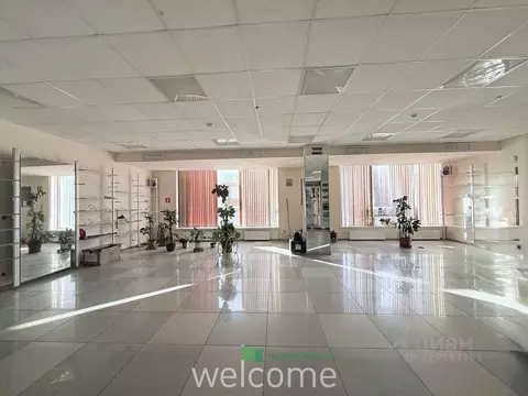 Помещение свободного назначения в Ставропольский край, Ставрополь ул. ...