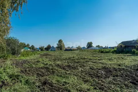 Участок в Алтайский край, Смоленский район, с. Смоленское Октябрьская ...