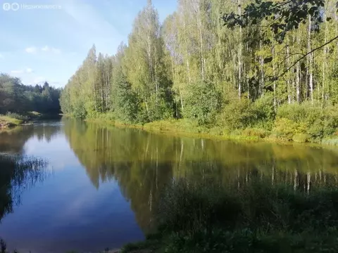 Участок в Ленинградская область, Гатчинский муниципальный округ, ...