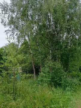 Участок в Калужская область, Бабынинский район, Воротынск городское ...