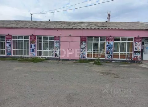 Торговая площадь в Тюменская область, Тюменский район, с. Онохино ...