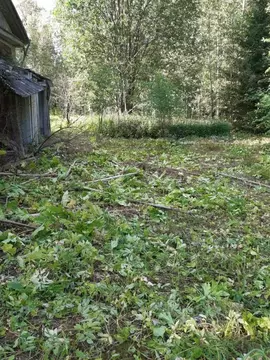 Участок в Новгородская область, Валдай  (31.6 сот.)